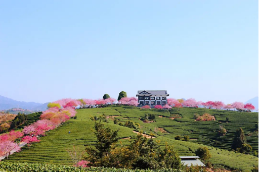 1679443644490826.png 1679443644490826.png