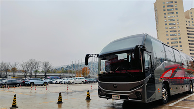 1733811785552942.jpg 3.jpg