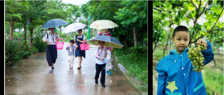 1603846261891246.png QQ圖片20201028083844.png