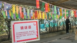 1646976101802352.jpg IMG_8374.jpg