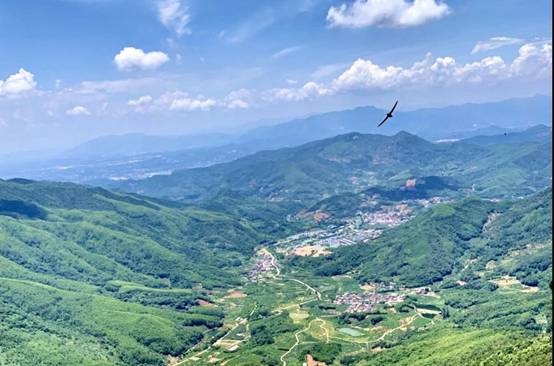 1607045629979805.jpg 微信圖片_20201203160812