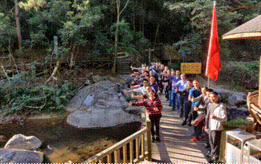 1607733665501648.gif 圖片4