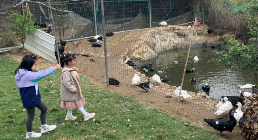 1675390981273221.jpg 1675390981273221.jpg