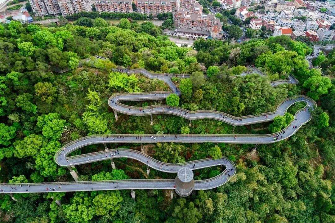 1572407788535647.png 圖片1.png